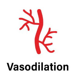 vasodilation